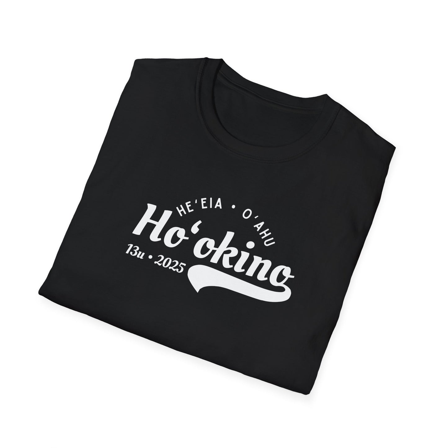 Bes Unofficial Assis Coach Softstyle T-Shirt | Unisex Funny Tee for Family Gatherings, Gift for Father's Day, Casual Wear, Anniversaries, Birthdays