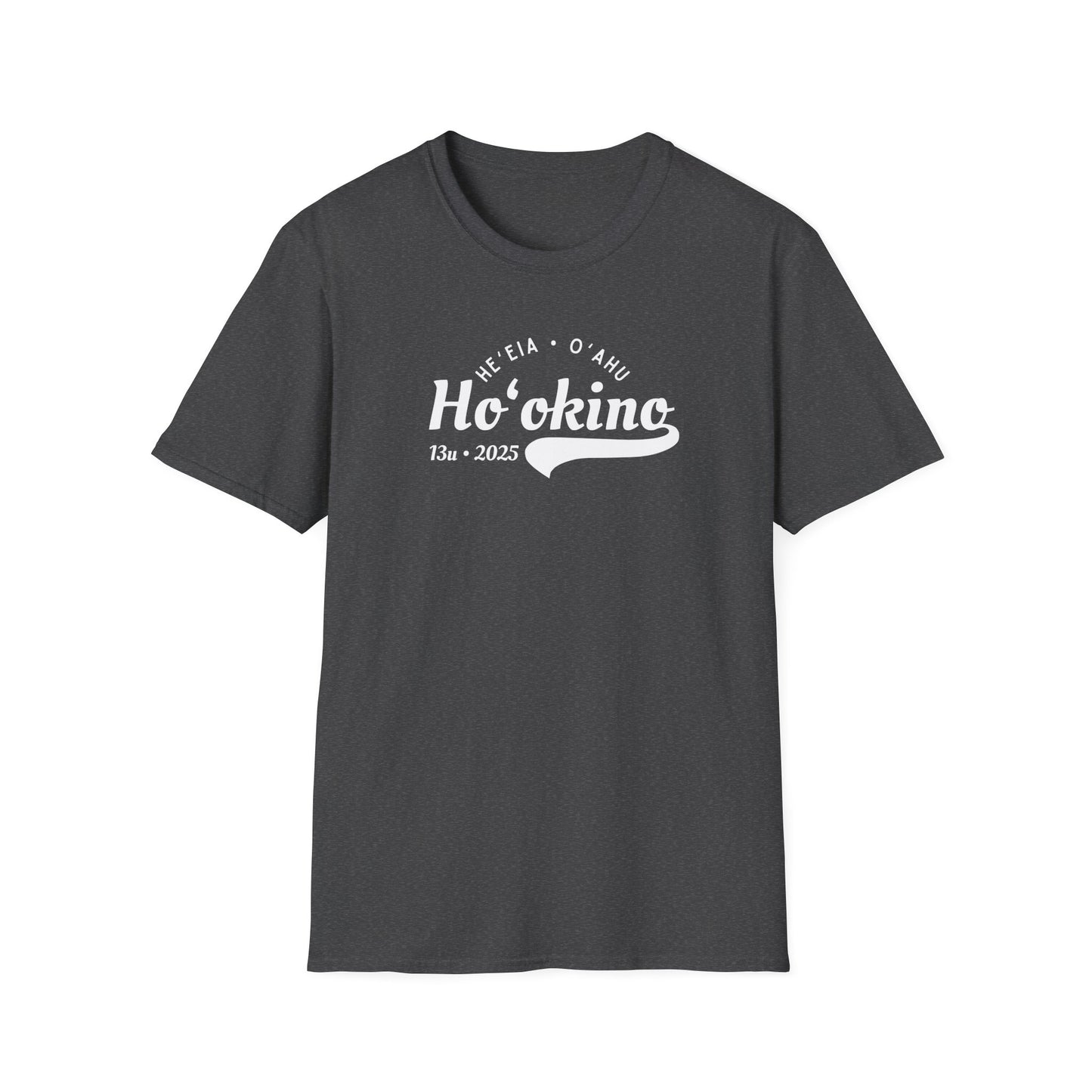 Bes Unofficial Assis Coach Softstyle T-Shirt | Unisex Funny Tee for Family Gatherings, Gift for Father's Day, Casual Wear, Anniversaries, Birthdays