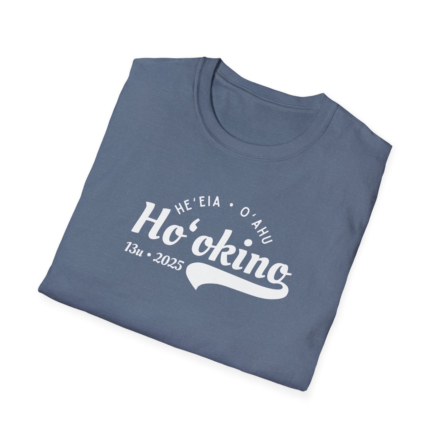 Bes Unofficial Assis Coach Softstyle T-Shirt | Unisex Funny Tee for Family Gatherings, Gift for Father's Day, Casual Wear, Anniversaries, Birthdays