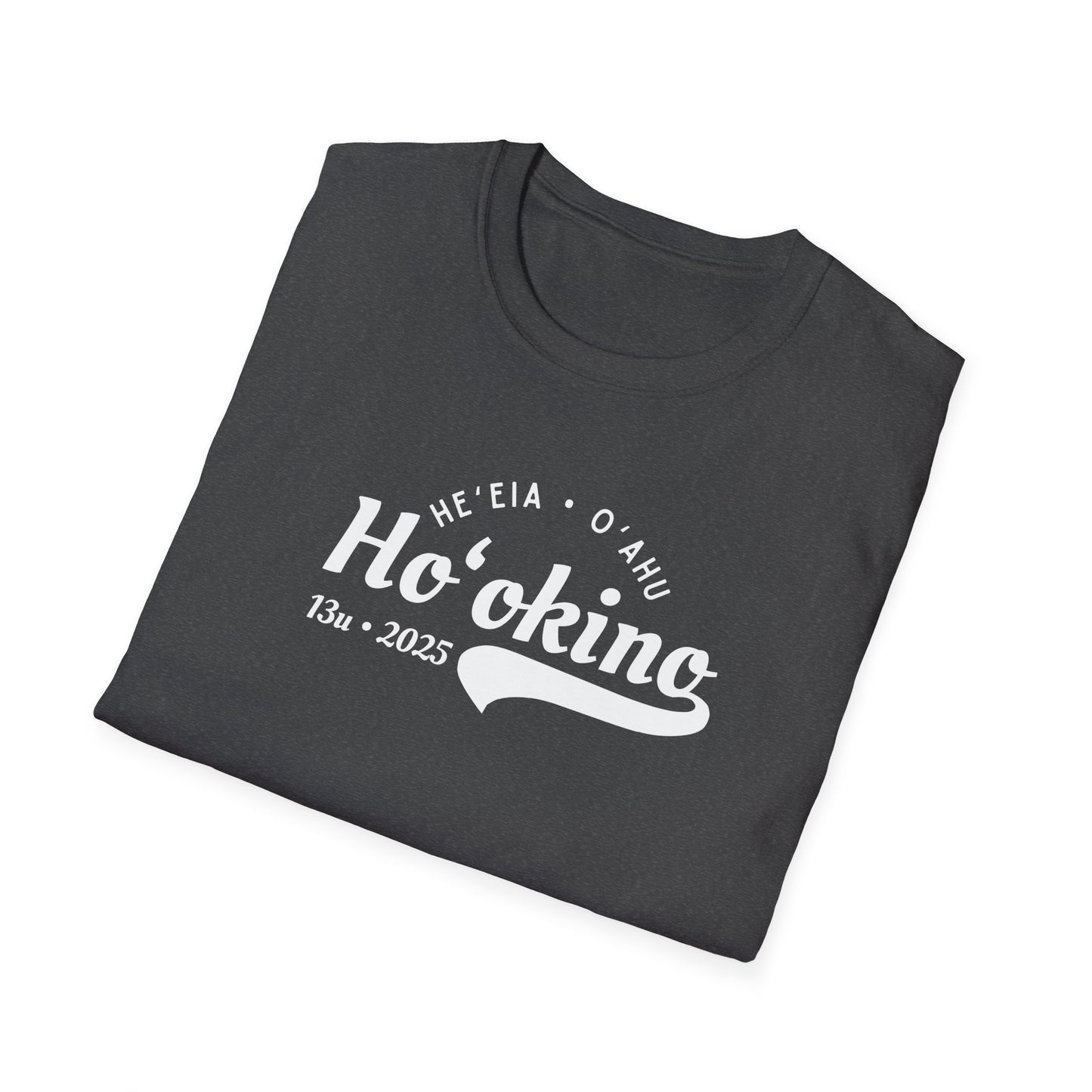 Bes Unofficial Assis Coach Softstyle T-Shirt | Unisex Funny Tee for Family Gatherings, Gift for Father's Day, Casual Wear, Anniversaries, Birthdays