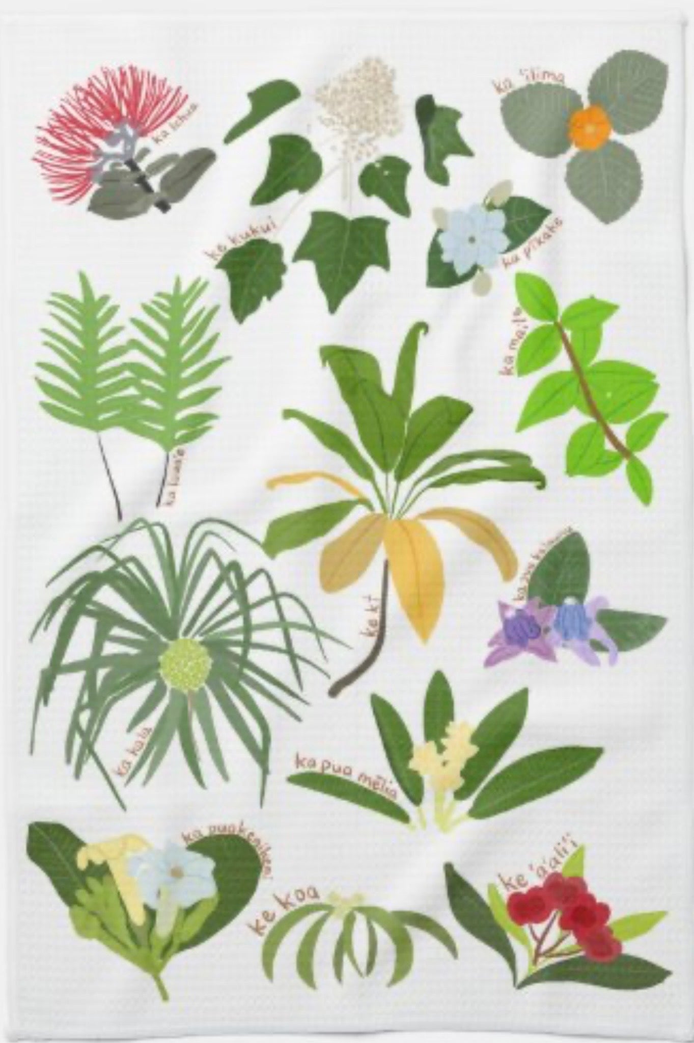 NEW! Pua & Lau Kitchen Towel